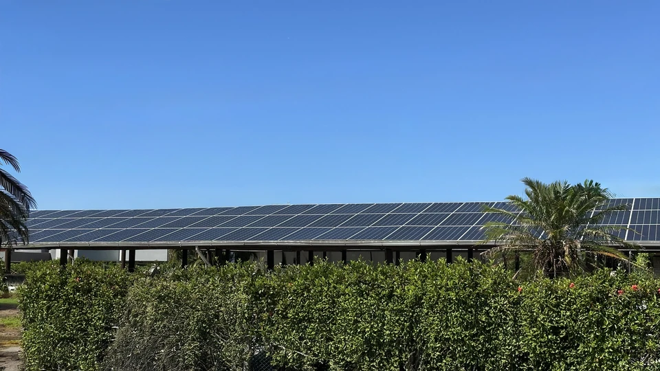 Photographie en plein jour d'une ombrière photovoltaïque professionnelle installée sur un parking d'entreprise ou une cour d'exploitation. La structure est en charpente métallique grise robuste avec des poutres apparentes formant une couverture régulière. Des rangées de panneaux solaires sont fixés et intégrés à la toiture, couvrant entièrement ou en majorité la surface. La structure est suffisamment haute pour permettre le stationnement ou la circulation de véhicules en dessous. L'arrière-plan montre un environnement industriel ou agricole typique. L'image doit transmettre solidité, fonctionnalité industrielle et durabilité énergétique.